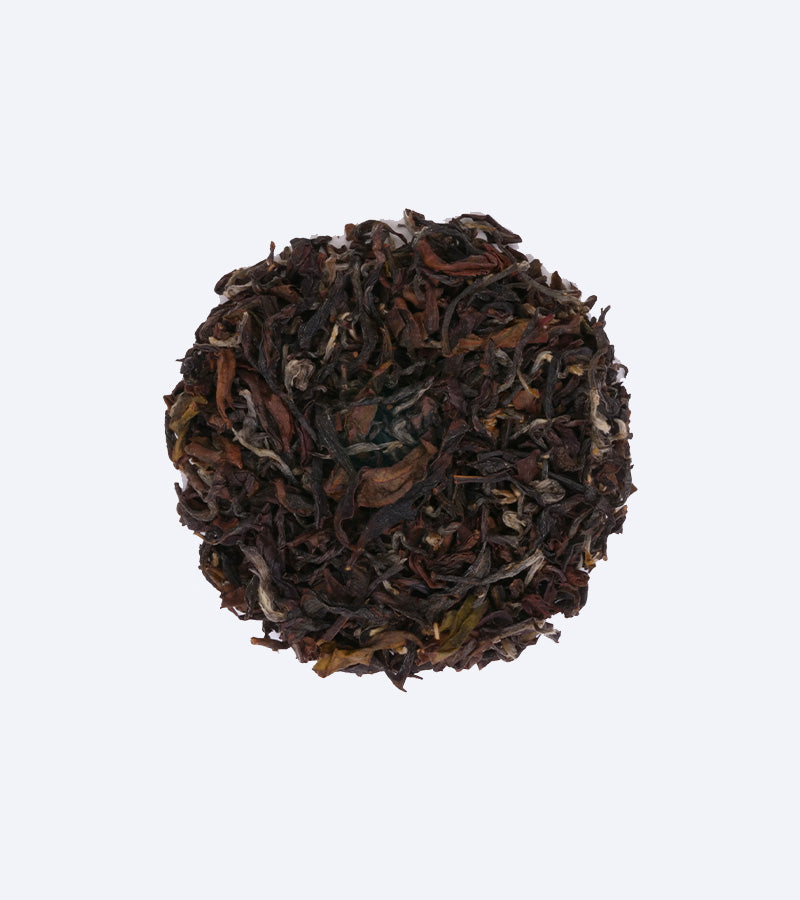 Oolong pouching danzong Tunxi Shiyan